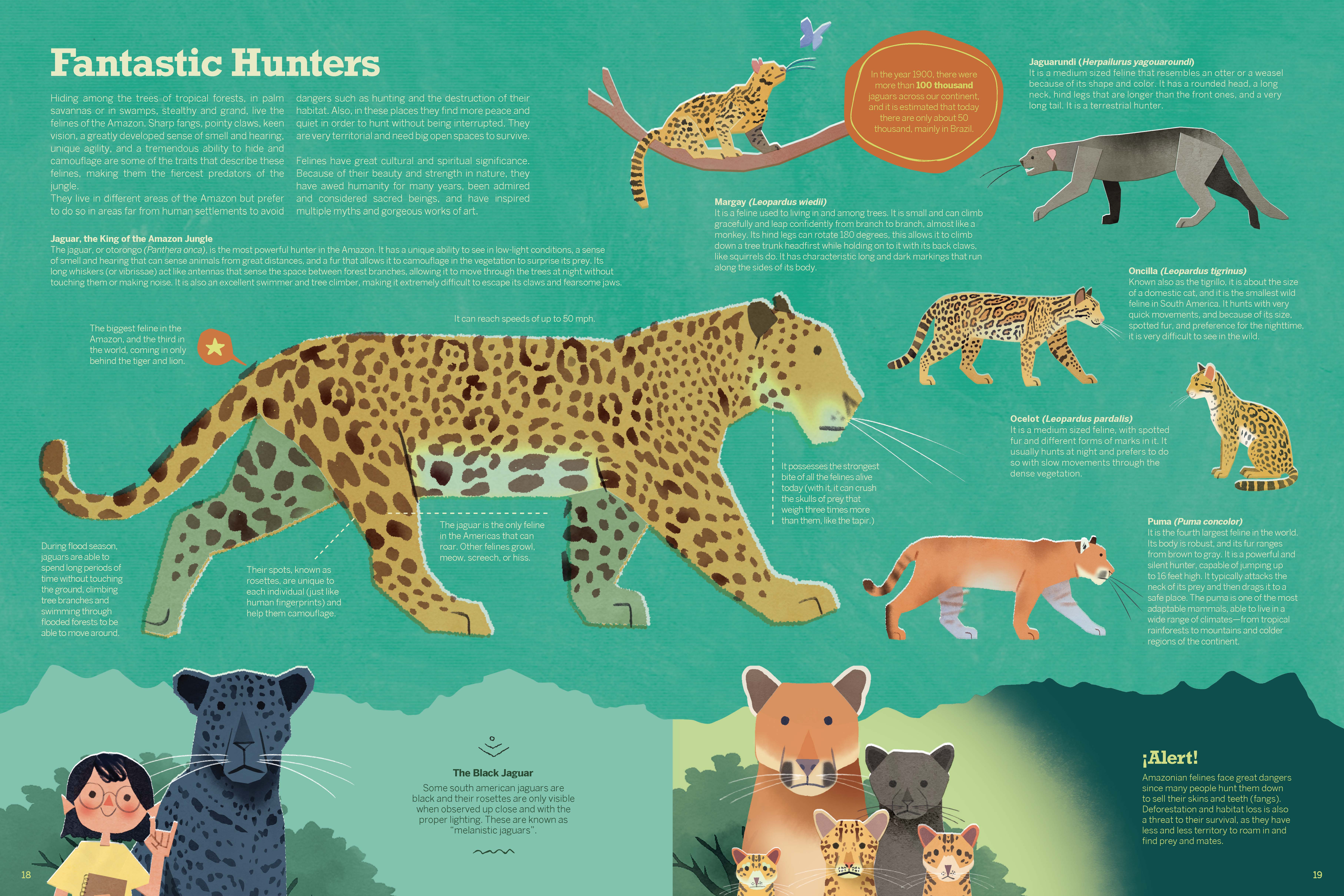 Atlas of the Amazon - Image 4