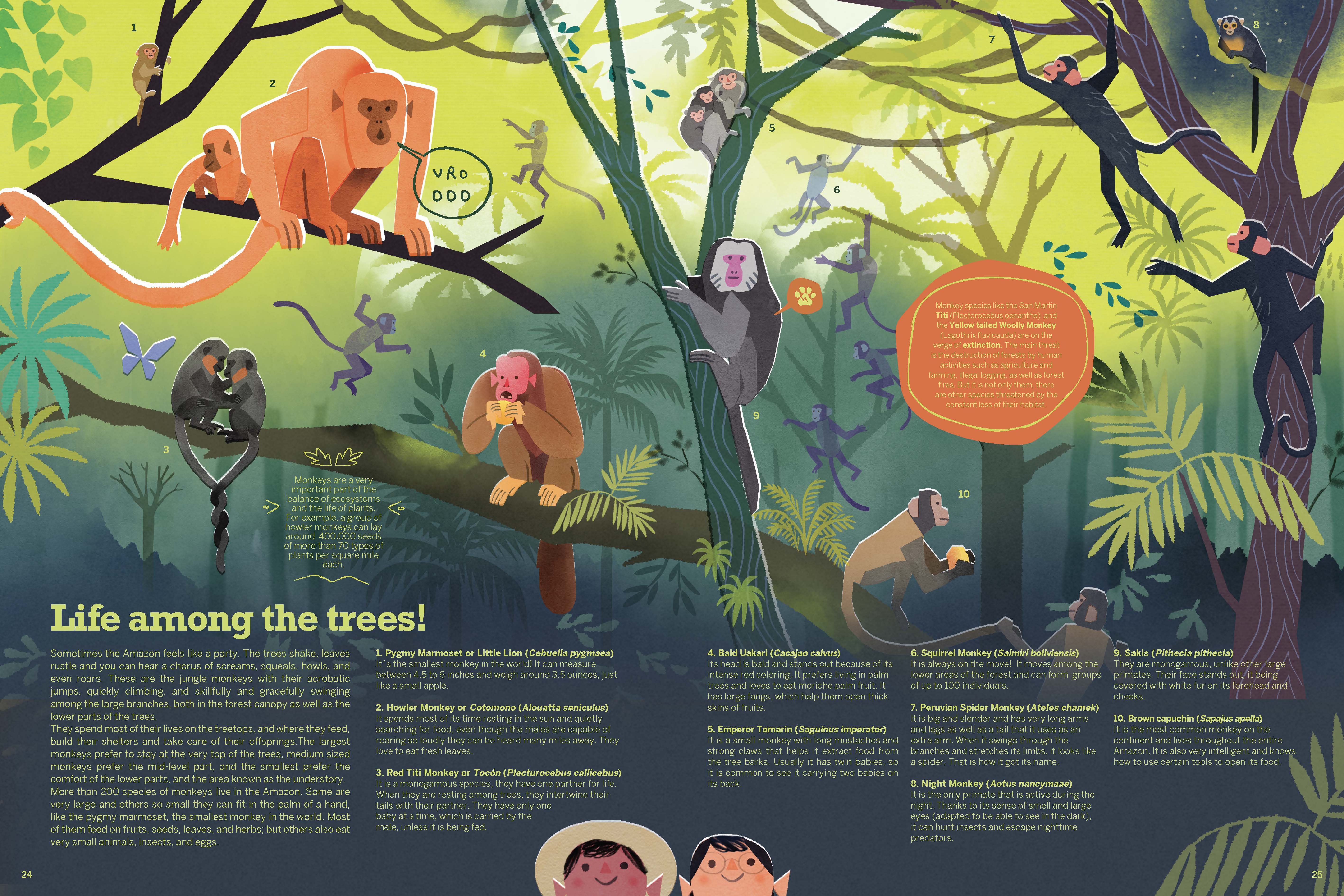 Atlas of the Amazon - Image 3