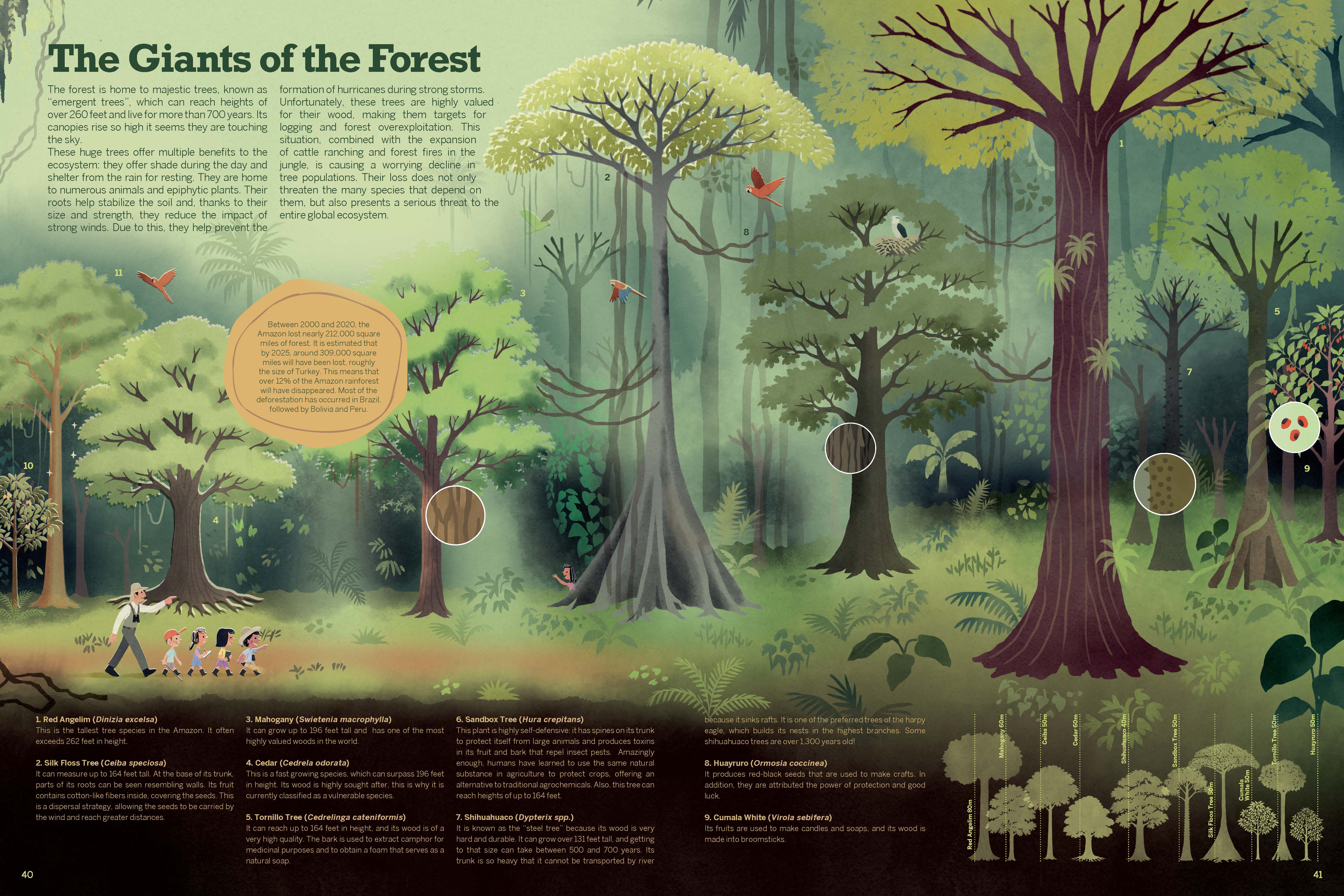 Atlas of the Amazon - Image 2